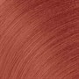 Redken Shades EQ Gloss Demi Permanent Hair Color 60ml - 06AA BonfireAlternative Image1